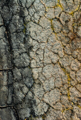 cracked ground with cracks, its notoriety chiefly because of its sulphurous mud springs called solfataras and steam springs called fumaroles.