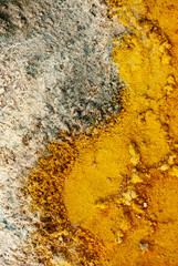 cracked ground with cracks, its notoriety chiefly because of its sulphurous mud springs called solfataras and steam springs called fumaroles.