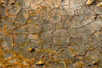 cracked ground with cracks, its notoriety chiefly because of its sulphurous mud springs called solfataras and steam springs called fumaroles.