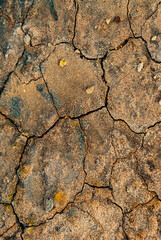 cracked ground with cracks, its notoriety chiefly because of its sulphurous mud springs called solfataras and steam springs called fumaroles.