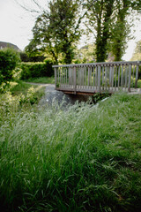 Fototapeta premium bridge over the river Denmead Hampshire