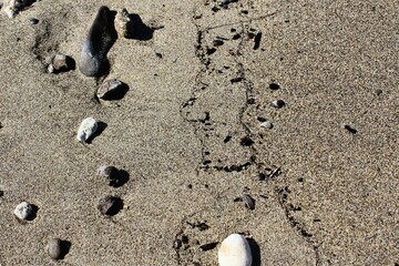 After the waves left on the beach