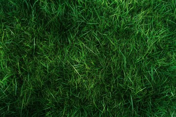 Top view of a lush green grass texture in high resolution, showcasing hyperrealistic details and an ultra-wide angle perspective for a vibrant natural look.