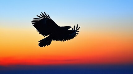 Fototapeta premium Eagle Silhouette Flying at Sunset, Majestic Bird in Flight Against Colorful Sky