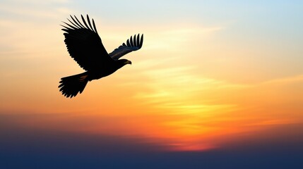 Fototapeta premium Eagle Silhouette Flying at Sunset with Orange Sky.