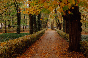 Naklejka premium Lazienki Park Warszawa autumn