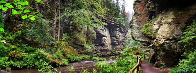 Summer natural landscape, panorama, banner - view of the mountain river and the tourist trail in...
