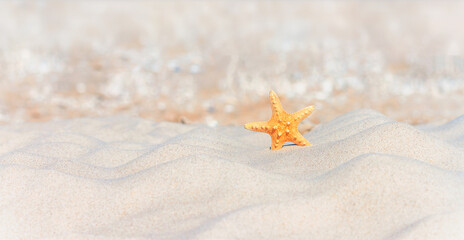 Close-up view of a beach with starfish on the sand under the hot sun, selective focus. Beach...