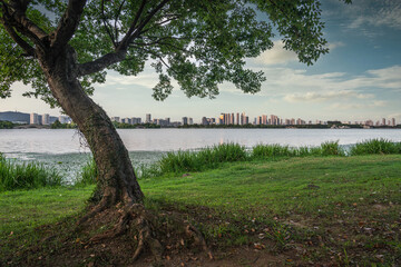 Serene Lakeside View with Urban Skyline in the Background