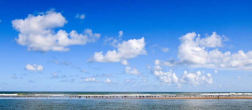 Boca Chica Beach South Texas
