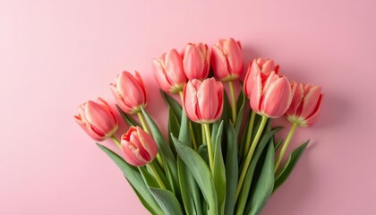  Blooming with joy  A bouquet of fresh tulips