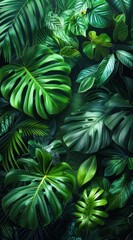 Tropical Leaves Background
