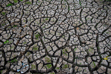 cracks ground, Drought rice fields, Cracked soil background