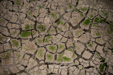 cracks ground, Drought rice fields, Cracked soil background