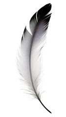 Fototapeta premium PNG A Simple feather pattern lightweight accessories.