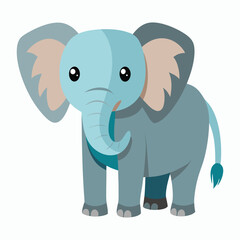a elephant on white background