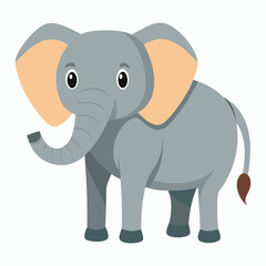 a elephant on white background