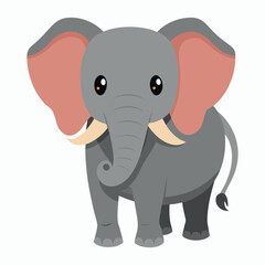 a elephant on white background