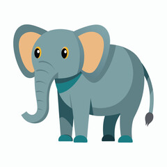 a elephant on white background