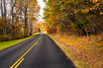 Obraz premium road in autumn