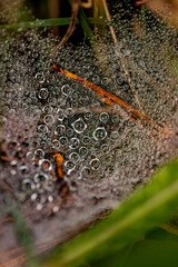 Herbstliches Foto von der Landschaft in Süddeutschland