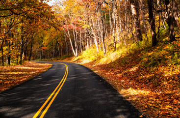 Blue Ridge Parkway Fall 2024