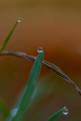 Herbstliches Foto von der Landschaft in Süddeutschland