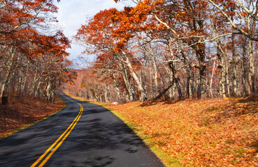 Obraz premium Blue Ridge Parkway Fall 2024