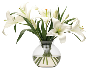 PNG Lilies arrangement vase flower plant.