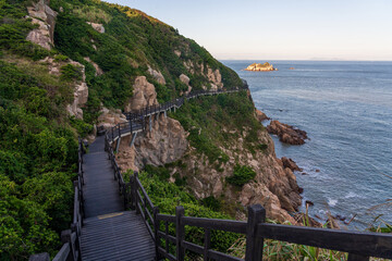 Scenic Coastal Pathway Leading to Serene Ocean View