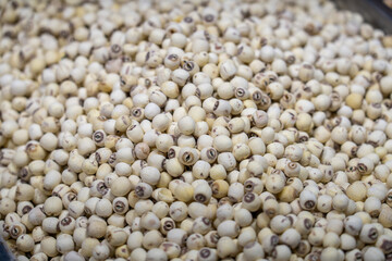 Freshly Harvested Sorghum Grains in Abundant Supply