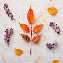 leaves on wooden background