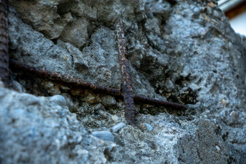 Reinforcement bars exposed outside of a broken concrete wall