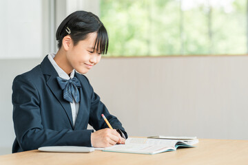 勉強する中学生・高校生の女の子（宿題・受験勉強・学習・教育）
