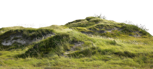 PNG  Green grassy hill landscape nature