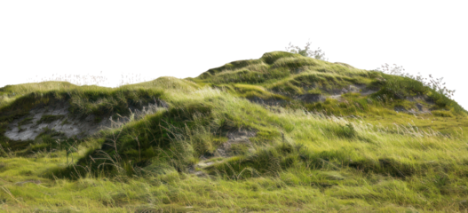 PNG  Green grassy hill landscape nature