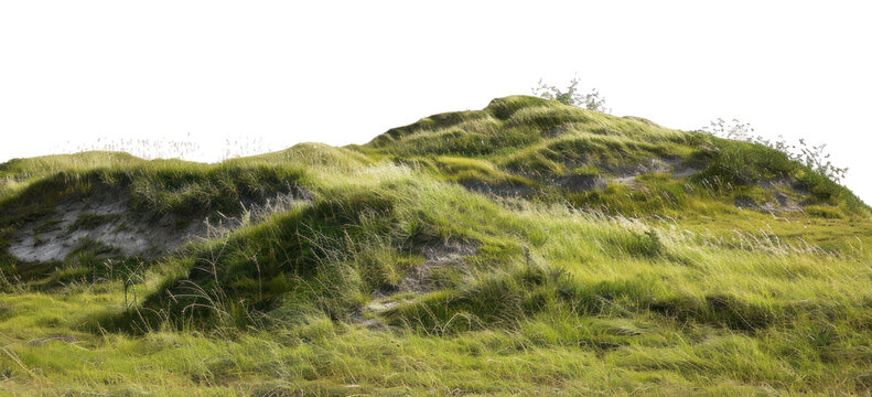 PNG  Green grassy hill landscape nature
