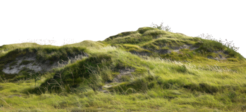 PNG  Green grassy hill landscape nature