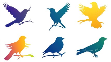 Fototapeta premium Bird Silhouette Vector on White Background