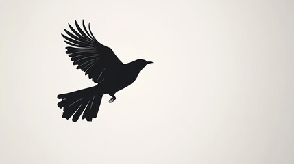 Obraz premium Bird Silhouette Vector on White Background