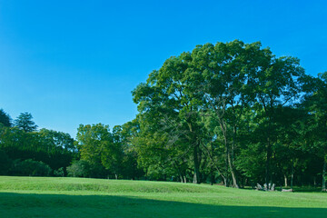 Green Park