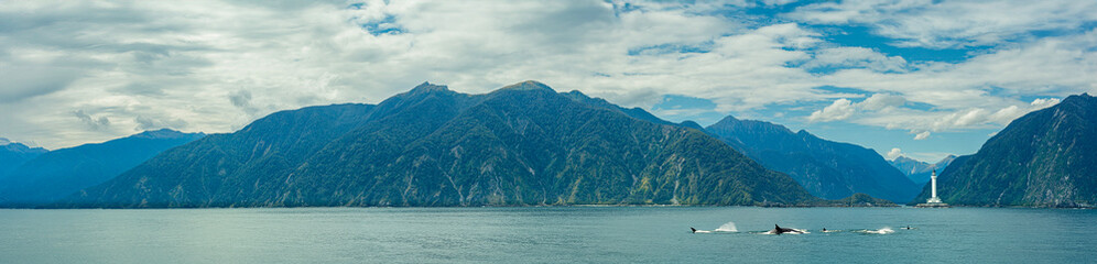 panorama of the mountains