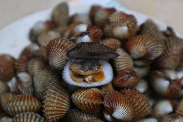 Close-up of fresh steamed mussels on a plate with easy seafood recipes