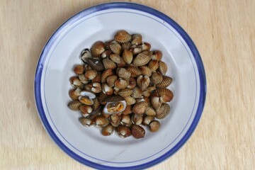 Fresh steamed clams, boiled clams served on a white plate with an easy seafood recipe menu, blood clams