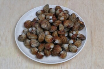Sweet seafood blood clams served on a plate top view