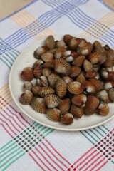 Sweet seafood blood clams served on a plate top view