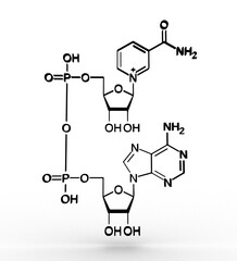 NAD+ vitamain medicine molecular food healthcare medicine pill healthy nutritional supplement organic capsule chemistry nourishment fish oil nad omega drug structure formula raw pharmacy ripe still 