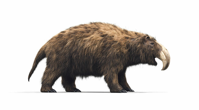 Encounter the Fearsome Daeodon: Realistic Illustration on White Background