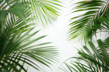 An solitary tropical frame with green palm fronds on a white backdrop. Generative Ai