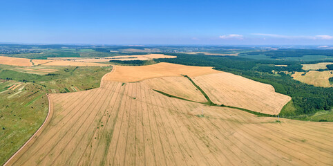 Fototapeta premium Aerial landscape view of yellow cultivated agricultural field with ripe wheat on bright summer day